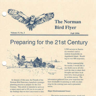Issue No. 3, Volume 17 - Fall 1996