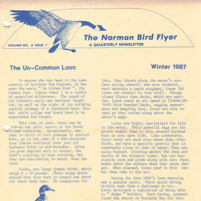 Issue No. 1, Volume 8 - 1987