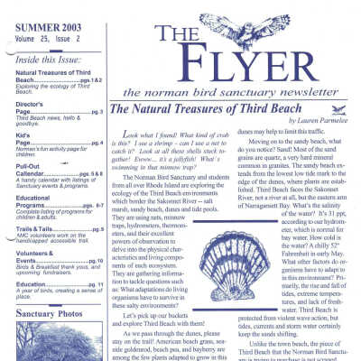 Issue No. 2, Volume 25 - Summer 2003