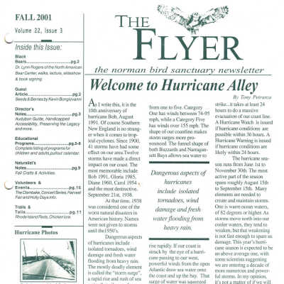 Issue No. 3, Volume 22 - Fall 2001