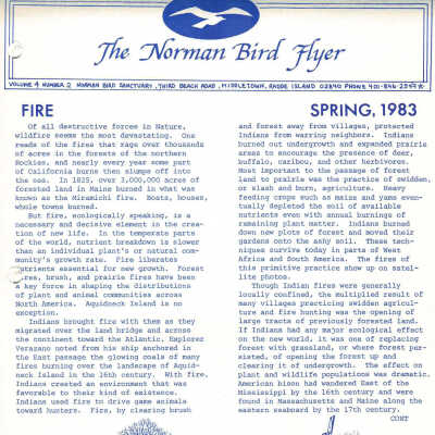 Issue No. 2, Volume 4 - Spring 1983
