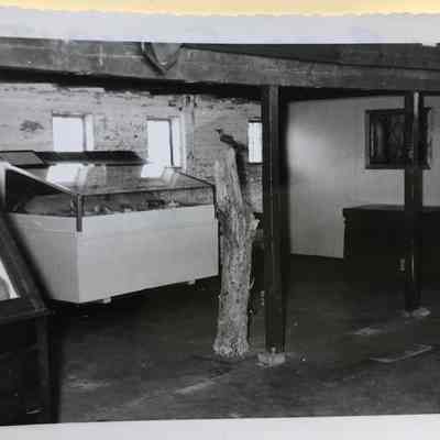 Trailside museum exhibits