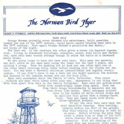 Issue No. 5, Volume 2 - 1981