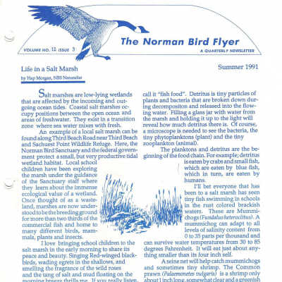 Issue No. 3, Volume 12 - Summer 1991