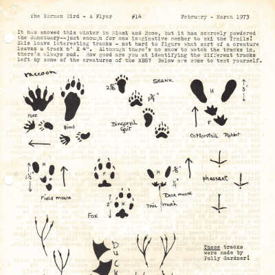 Issue 14 - 1973