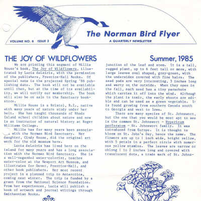 Issue No. 3, Volume 6 - 1985