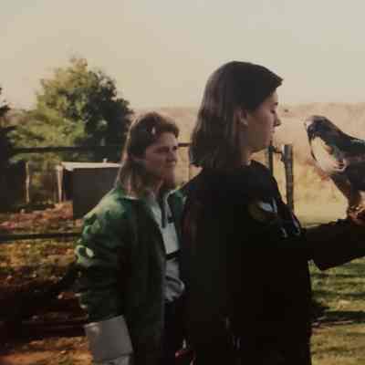 Hawk demonstration