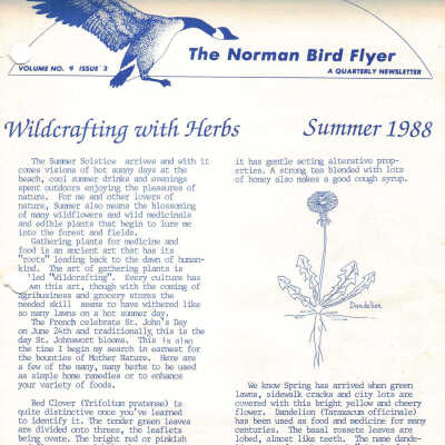 Issue No. 3, Volume 9 - 1988