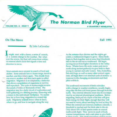 Issue No. 4, Volume 12 - Fall 1991