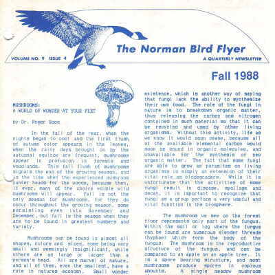 Issue No. 4, Volume 9 - Fall 1988