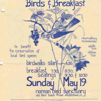 1991 Birds & Breakfast Poster