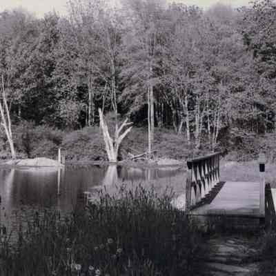 Red Maple Pond bridge