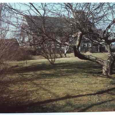 Apple Orchard and Barn
