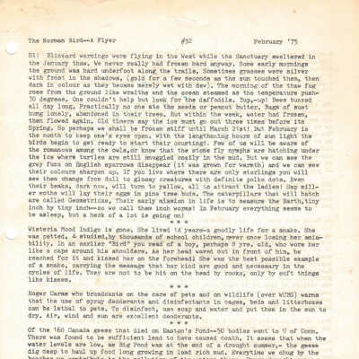 Issue 32 - 1975