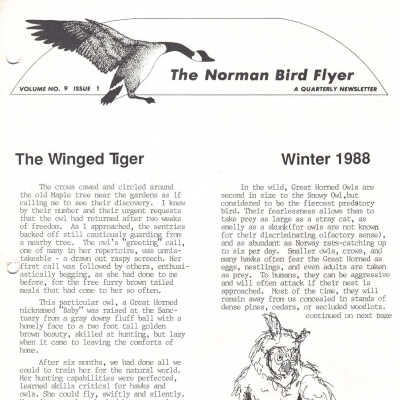 Issue No. 1, Volume 9 - 1988