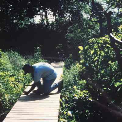Building the Gray Craig boardwalk