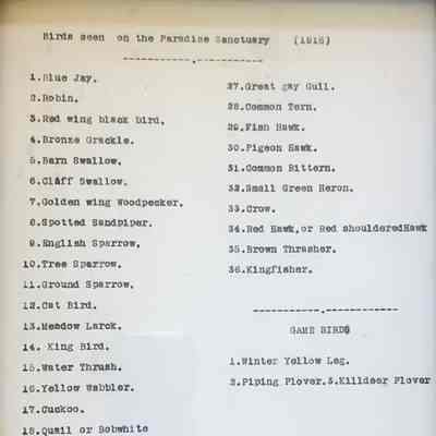 Paradise Sanctuary Bird List