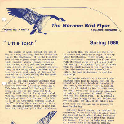 Issue No. 2, Volume 9 - 1988