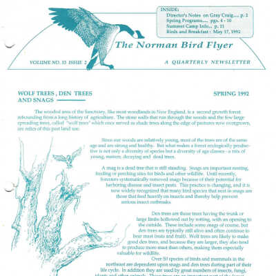 Issue No. 2, Volume 13 - Spring 1992