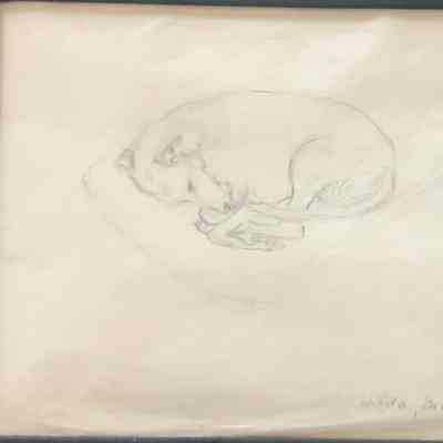 Sketch of Hilda the dog