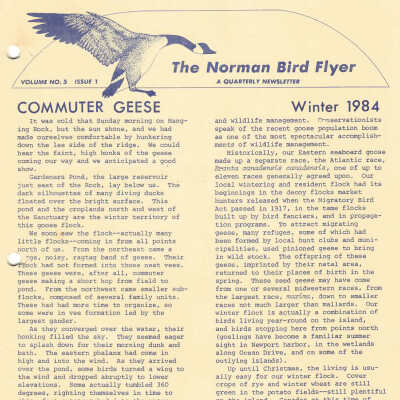 Issue No. 1, Volume 5 - 1984