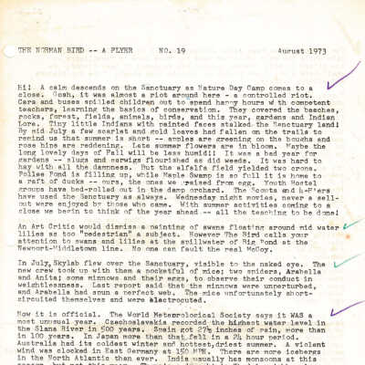 Issue 19 - 1973