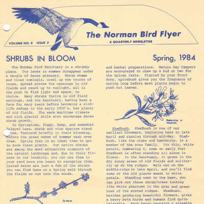 Issue No. 2, Volume 5 - 1984