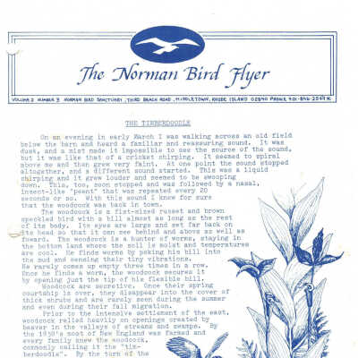 Issue No. 3, Volume 2 - 1981