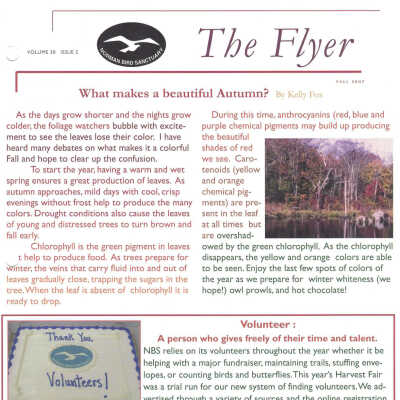 Issue No. 2, Volume 30 - Fall 2007