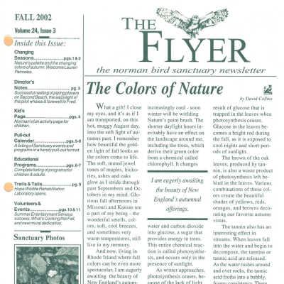 Issue No. 3, Volume 24 - Fall 2002