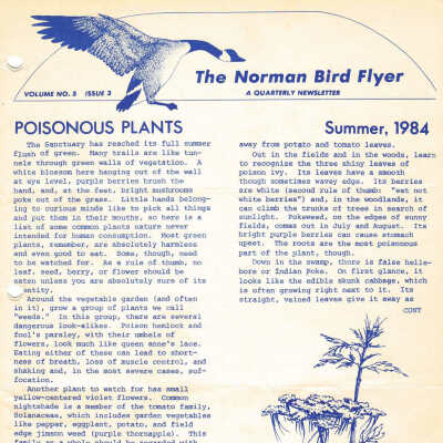 Issue No. 3, Volume 5 - 1984