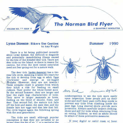 Issue No. 3, Volume 11 - Summer 1990