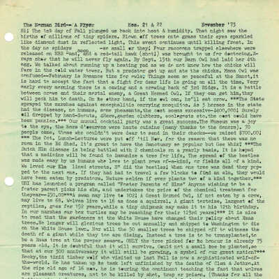 Issue 21 - 1973