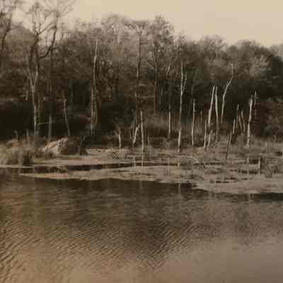 Red Maple Pond
