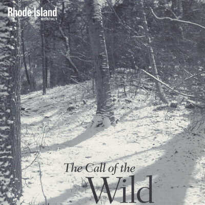 Call of the Wild by Christine Schultz, Rhode Island Monthly