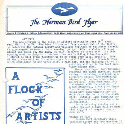 Issue No. 4, Volume 2 - 1981