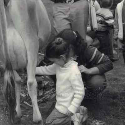 Young fair-goers milking a visiting cow