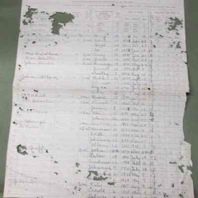 1914 School Census data Alto School District