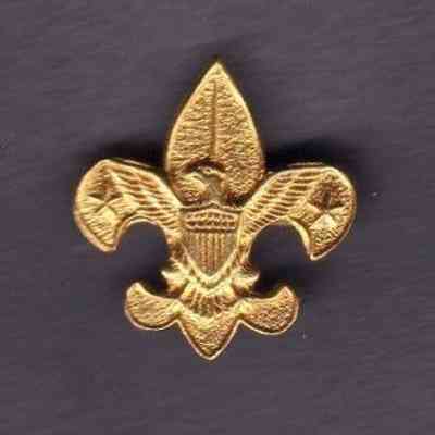 Boy Scouts, BSA, Tenderfoot Rank, Parent Pin
