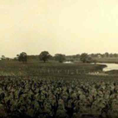 Photograph, J.A. Kastein, Jr., Farm Fields