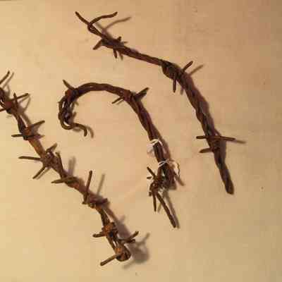 WWI Debris, Barbed Wire Pieces