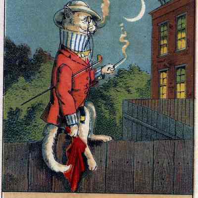 Card, A. C. Scott Company, A Tom-Cat