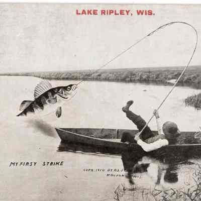 Postcard