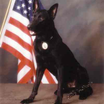 Member of the Waupun Police Force