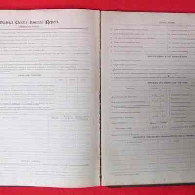 District Clerk's Annual Report