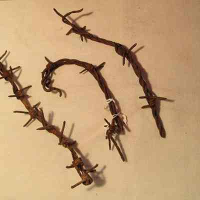 WW1 Barbed wire