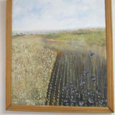 Horicon Marsh