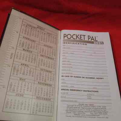 Pocket (Pal)