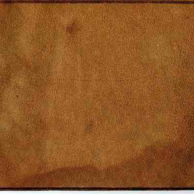 Leather Photograph Album.