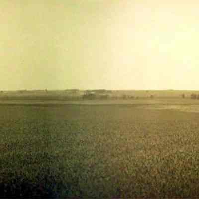 Photograph, J.A. Kastein Jr., Pasture Scene